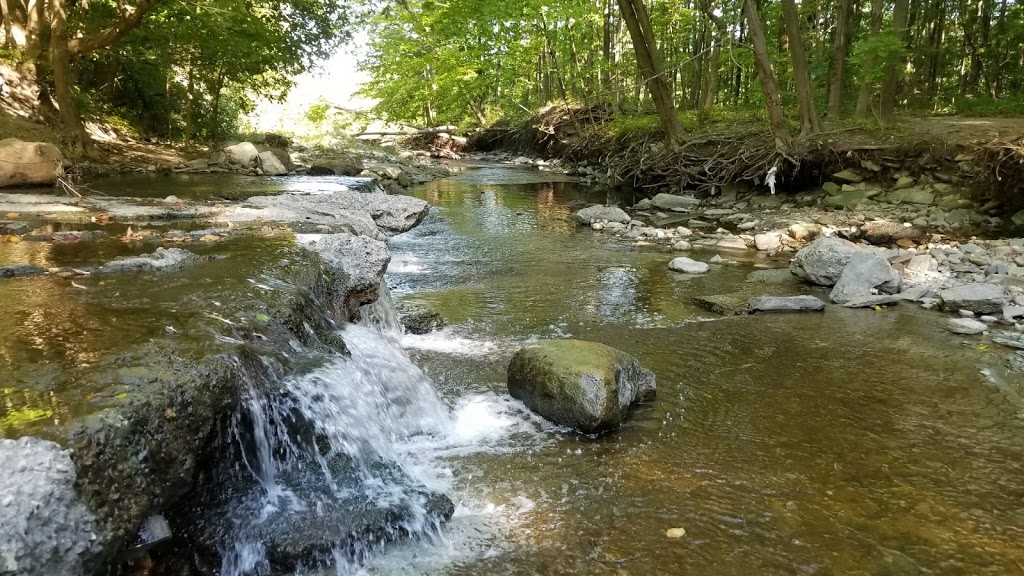 Etobicoke Creek Offleash Dog Park | South of Dundas, Southcreek Rd, Mississauga, ON L4X 1L9, Canada