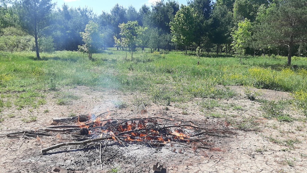 Land of the dancing deer | 1208 3rd Line, Ohsweken, ON N0A 1M0, Canada | Phone: (226) 583-5119