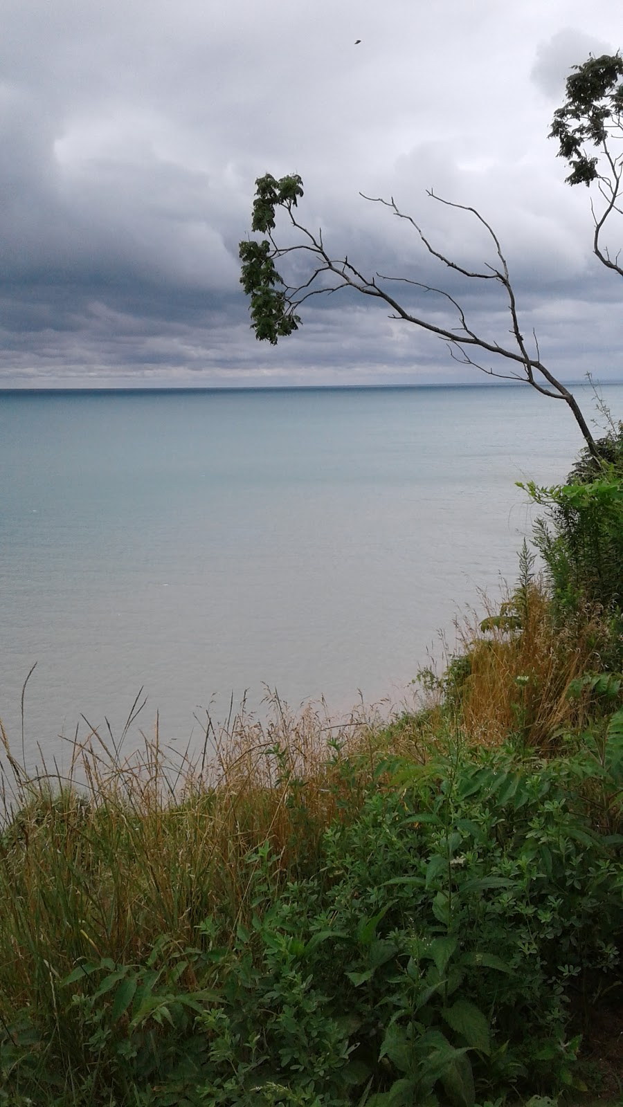 Hawk Cliff | 4296 Hawk Cliff Rd, Union, ON N0L 2L0, Canada