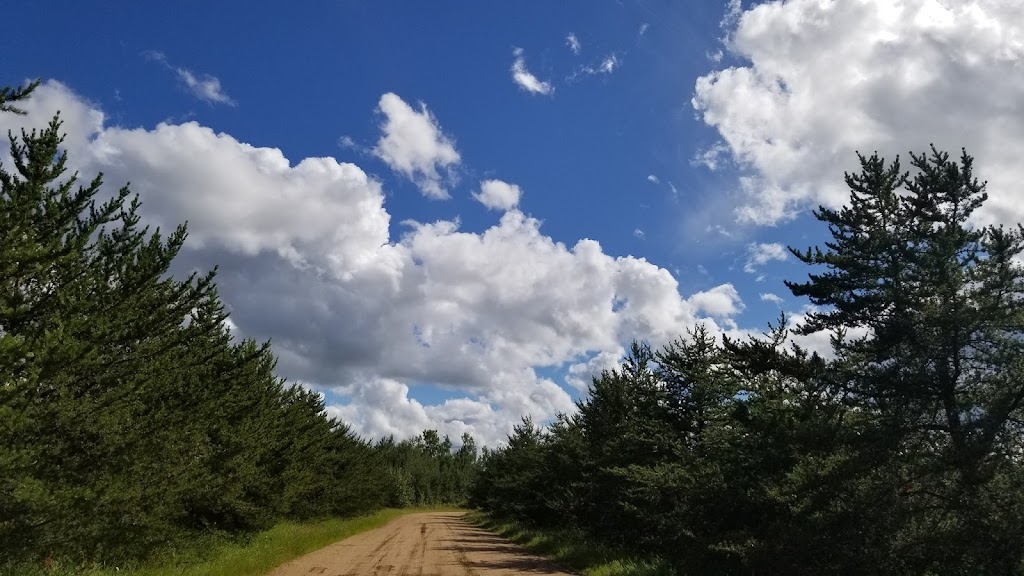Pine Meadow | Range Road 230 & Township 670, AB T0G 0R0, Canada | Phone: (403) 801-4817