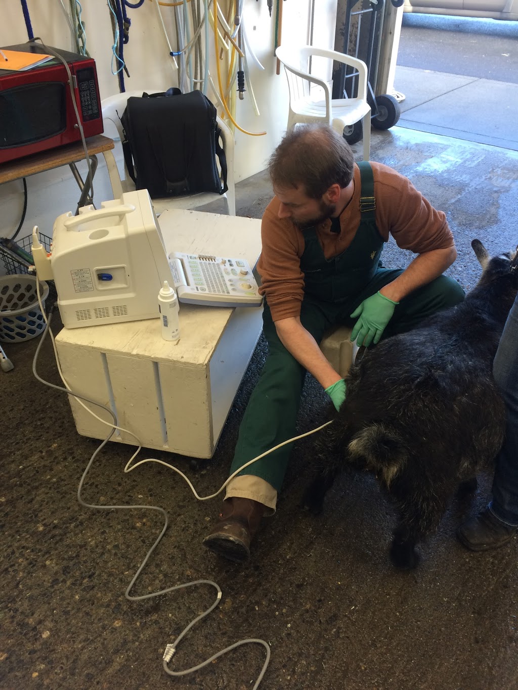 Kulshan Veterinary Hospital | 8880 Benson Rd, Lynden, WA 98264, USA | Phone: (360) 354-5095