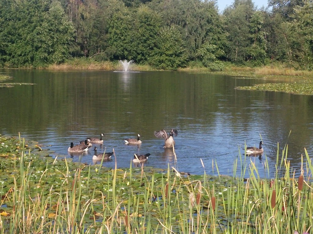 Garden City Dogs Off-Leash Area | 9331 Granville Ave, Richmond, BC V6Y 1P9, Canada