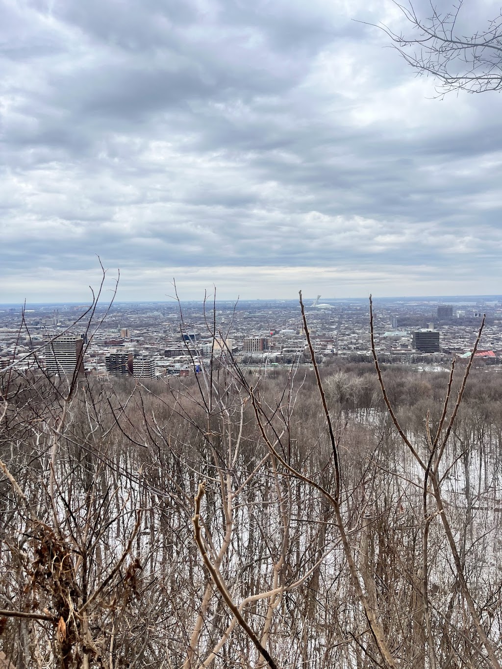 Terrain 275 | 1576 Voie Camillien-Houde, Montréal, QC H2W 1S8, Canada | Phone: (514) 868-3737