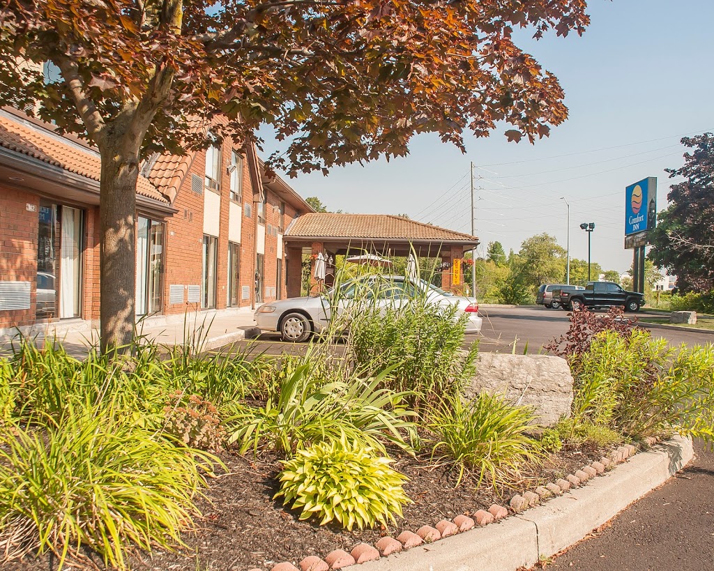Comfort Inn Orillia | 75 Progress Dr, Orillia, ON L3V 6H1, Canada | Phone: (705) 327-7744