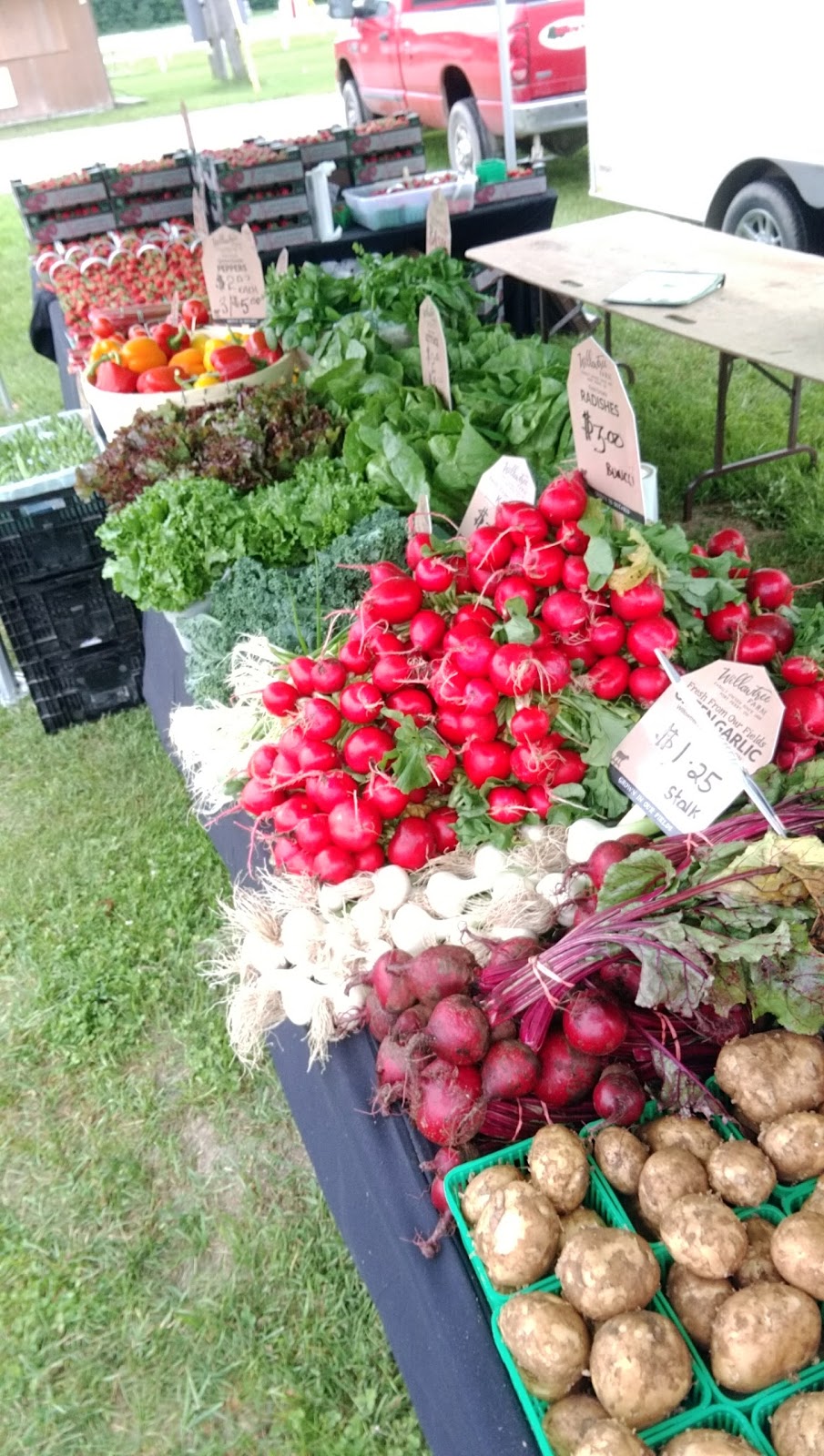 Orillia & District Agricultural Society | 4500 Fairgrounds Rd, Severn, ON L3V 0Y2, Canada | Phone: (705) 325-0353