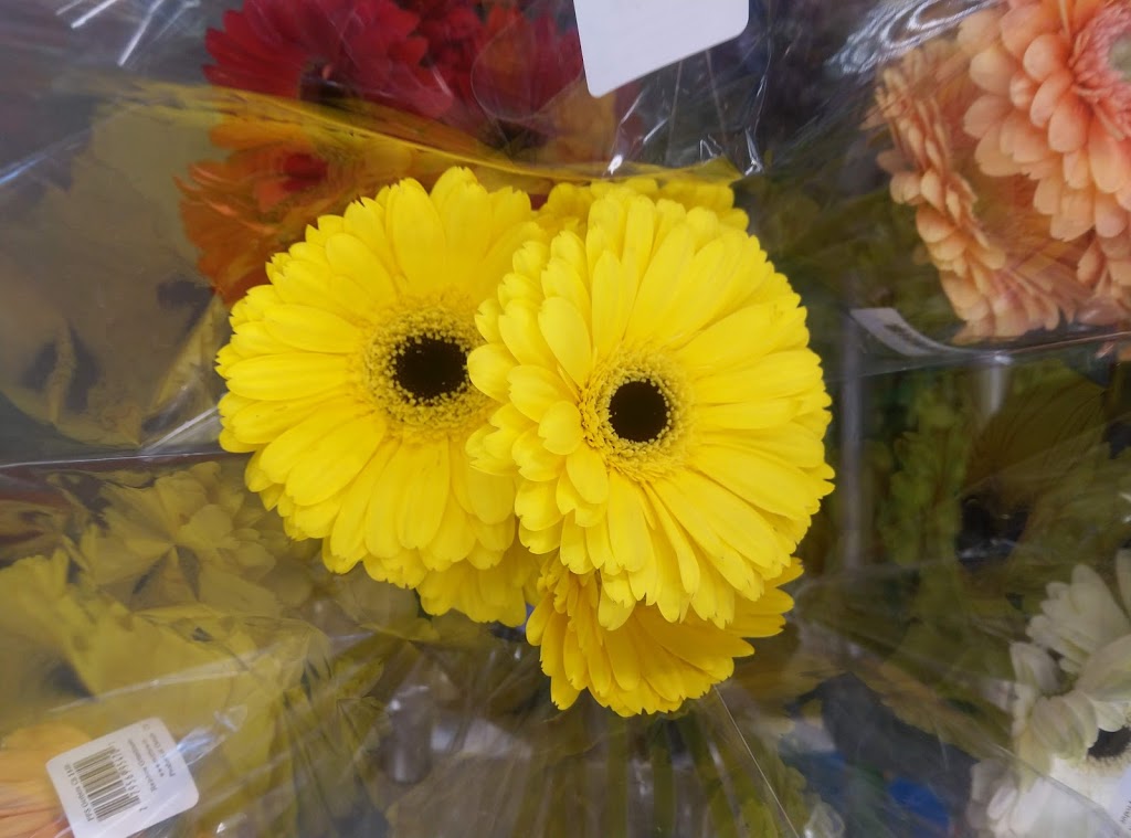 Walmart Supercentre | UNIT 400 CORNERSTONE, 6800 48 Ave, Camrose, AB T4V 4T1, Canada | Phone: (780) 608-1211