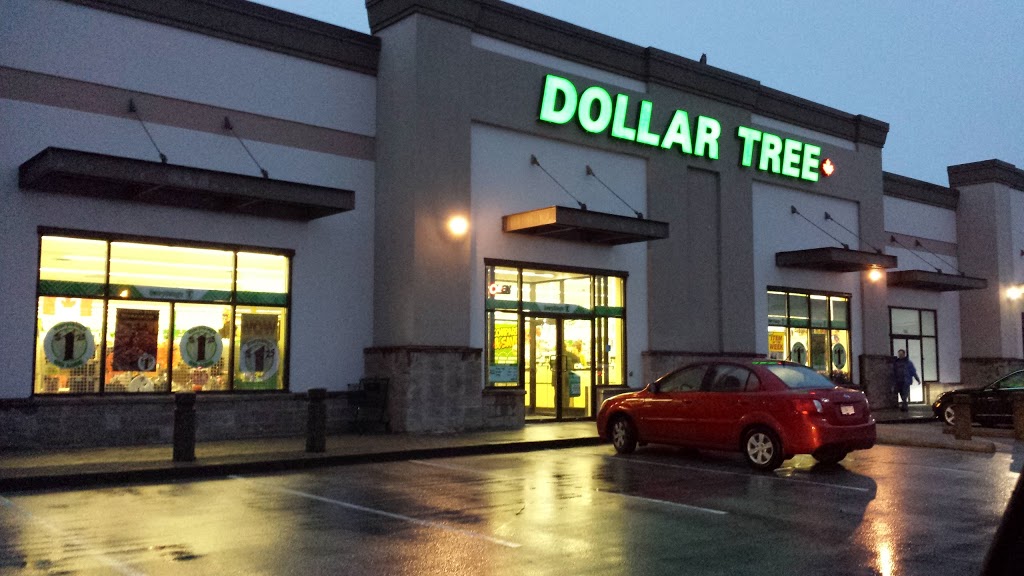 Dollar Tree | 1097 Nicola Ave #120, Port Coquitlam, BC V3B 8B2, Canada | Phone: (604) 942-7555