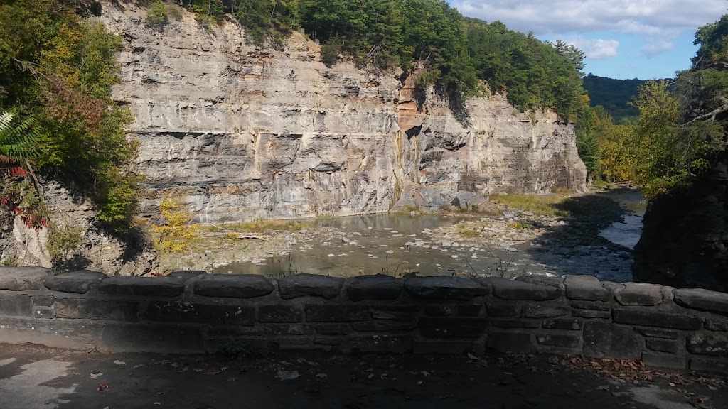 Joseph Davis State Park | Youngstown, NY 14174, USA | Phone: (716) 754-8213