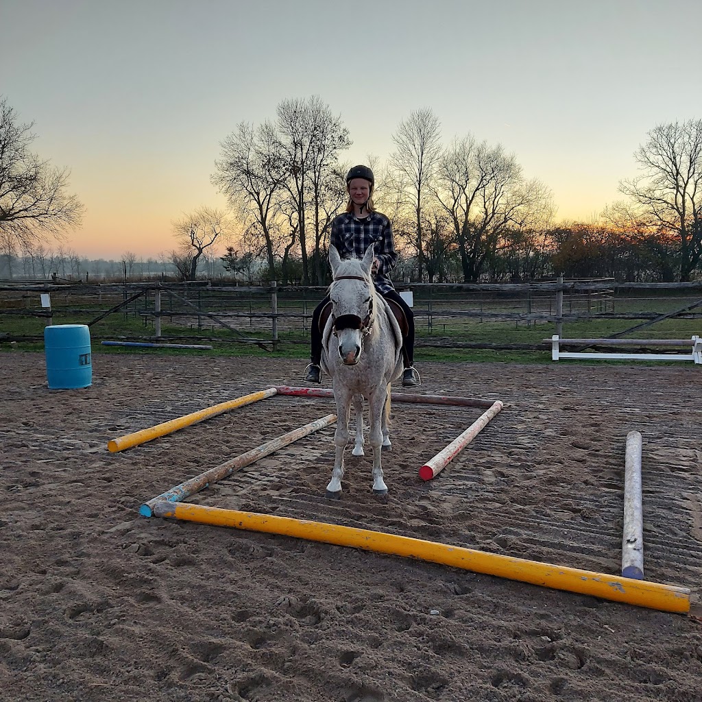Grace Acres Equine Connection | 2050 Vent Rd, Napanee, ON K7R 3K9, Canada | Phone: (613) 214-2963