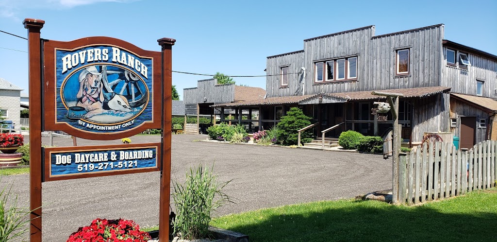 Rovers Ranch Dog Daycare and Boarding | 212 Norfolk St, Stratford, ON N5A 3Z2, Canada | Phone: (519) 271-5121