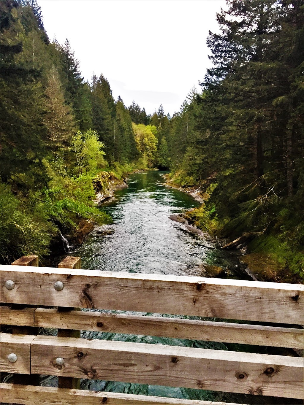 Skutz Fall parking lot trail head | Riverbottom Rd W, Lake Cowichan, BC V0R 2G0, Canada