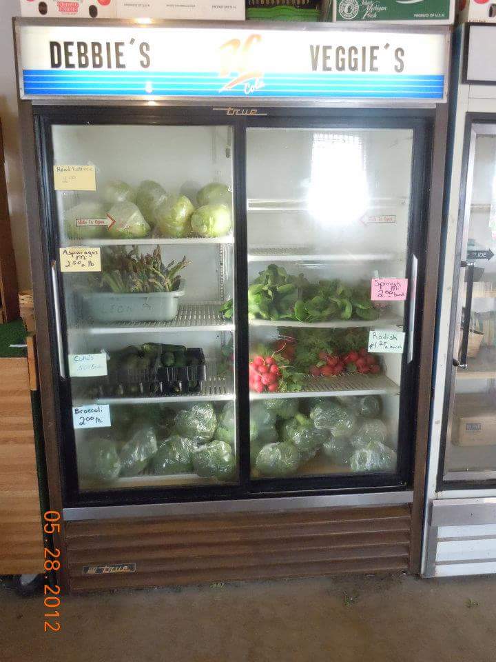 Debbies veggies and rotarius greenhouse | 10246 Dixie Hwy, Ira Township, MI 48023, USA | Phone: (586) 725-0831