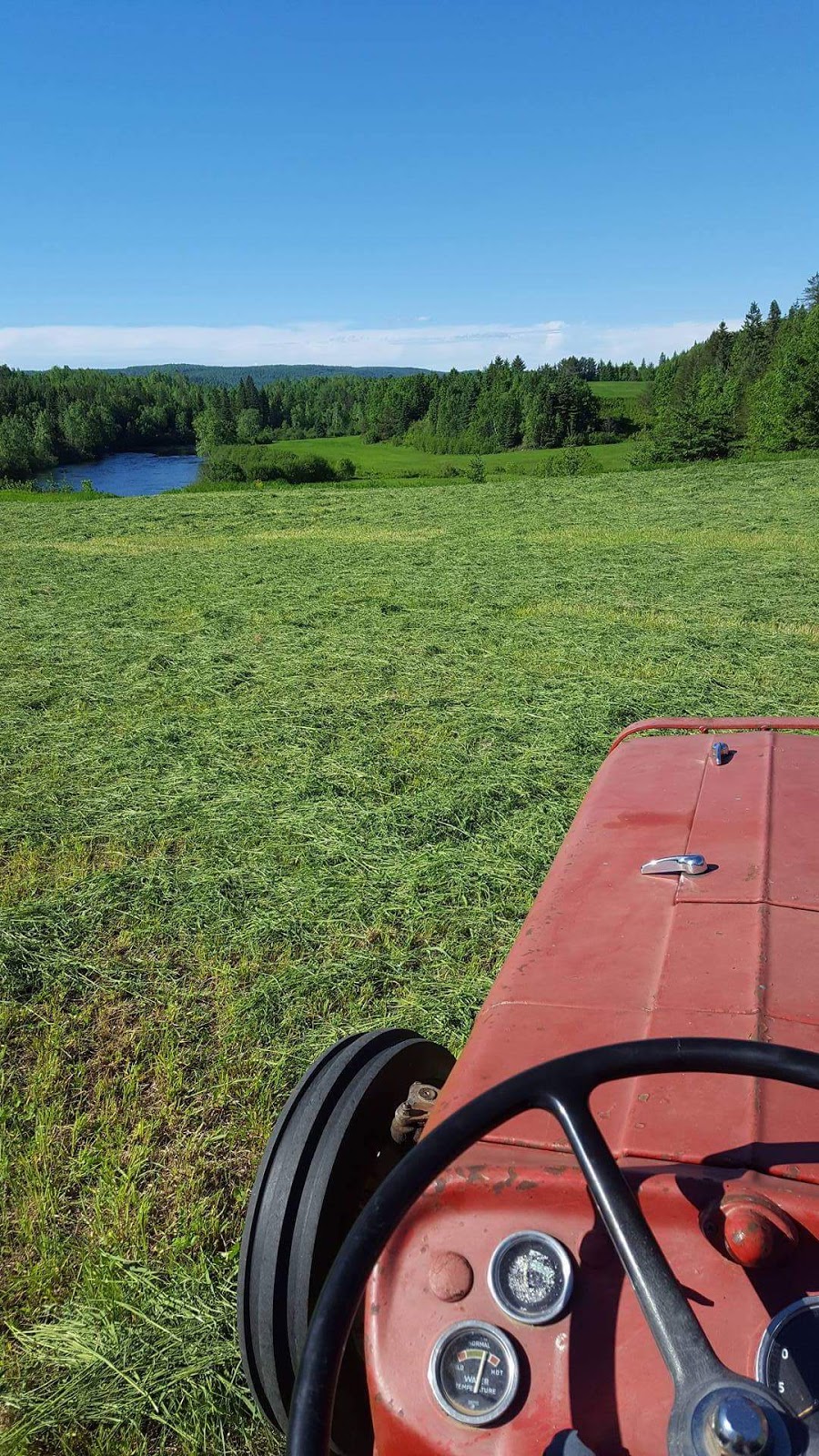 Ferme De Stéphane Et Nicole | 241 Rang Sud-Est, La Bostonnais, QC G9X 0A7, Canada | Phone: (819) 523-9593