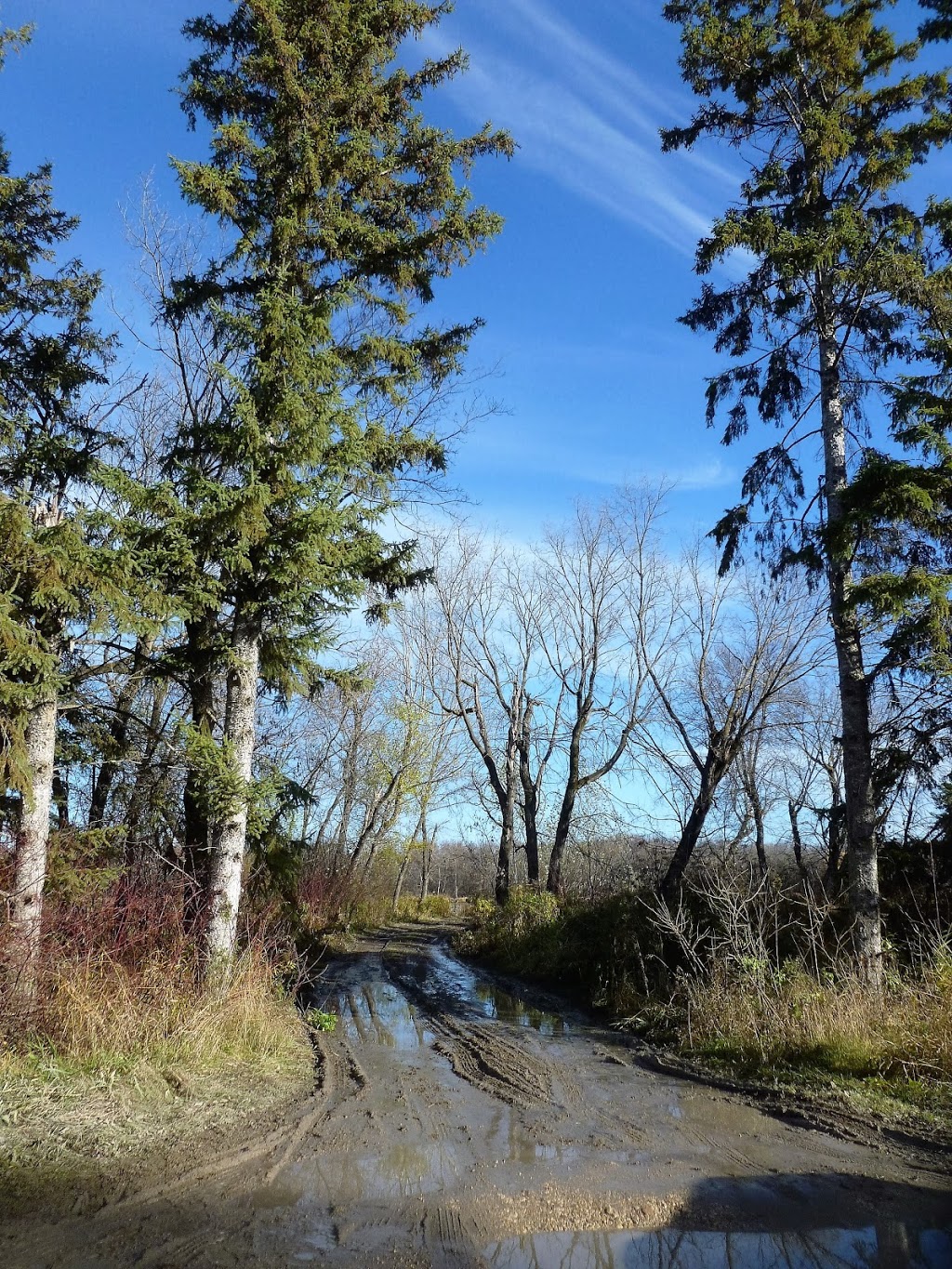 Netley Creek Provincial Park | Petersfield, MB R0C 2L0, Canada