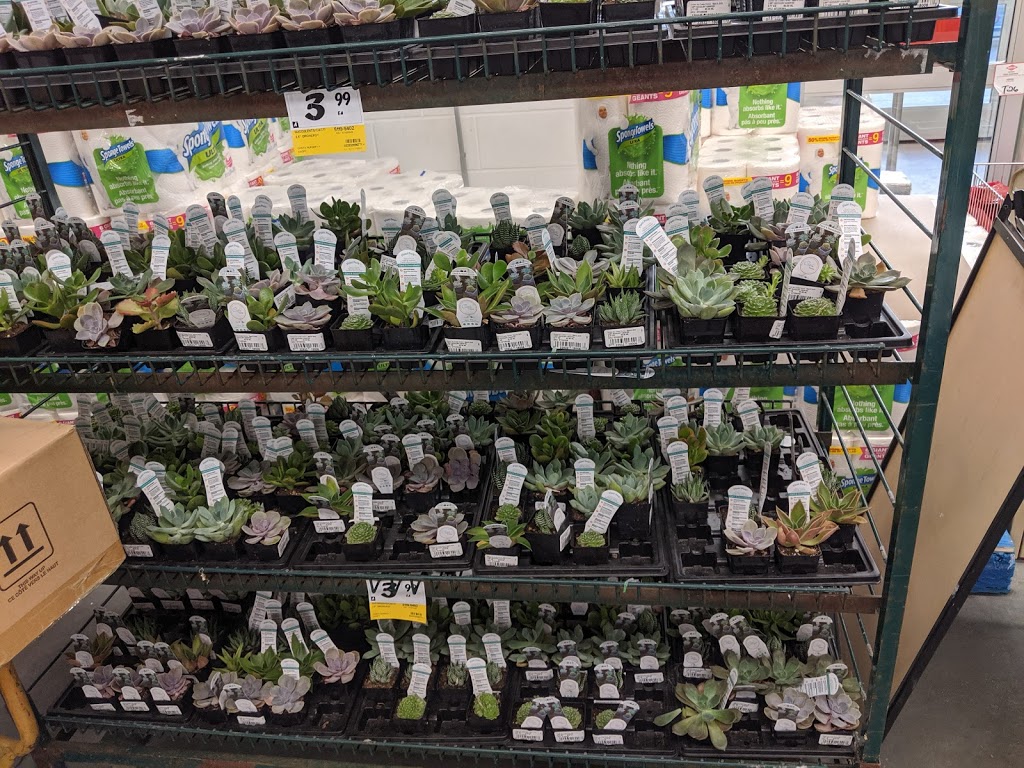Home & Garden RONA / Winnipeg (South) | 1636 Kenaston Blvd, Winnipeg, MB R3P 2M6, Canada | Phone: (204) 487-7662