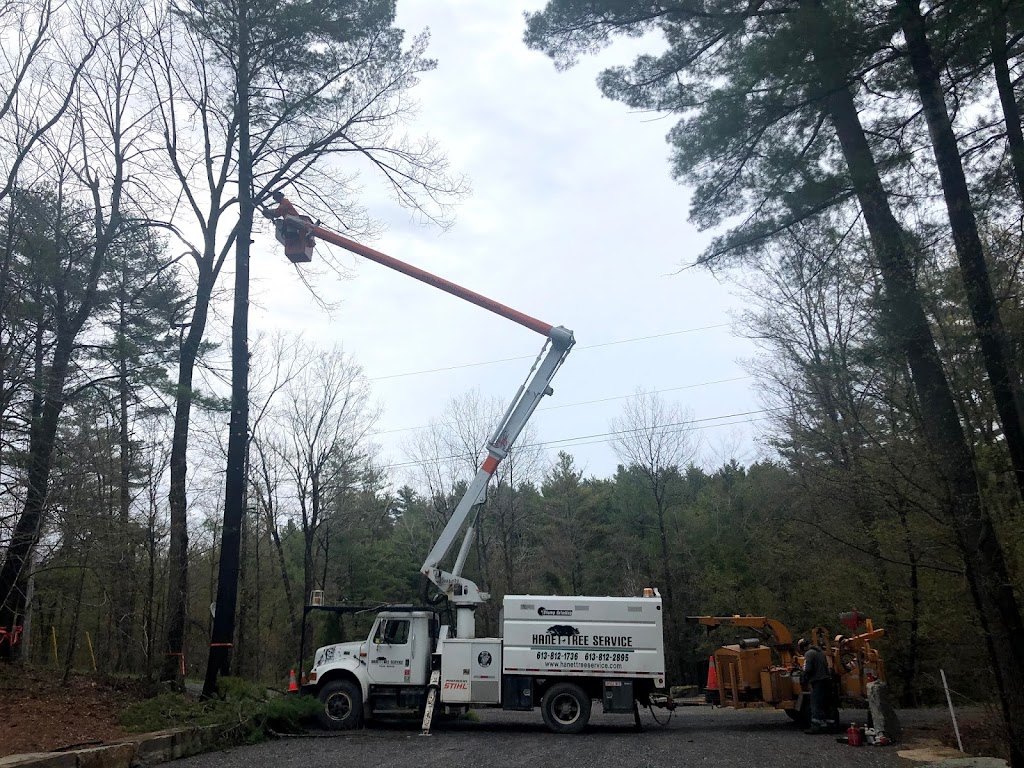 Hanet Tree Service | Frizell Rd, Perth, ON K7H 3C7, Canada | Phone: (613) 812-1736