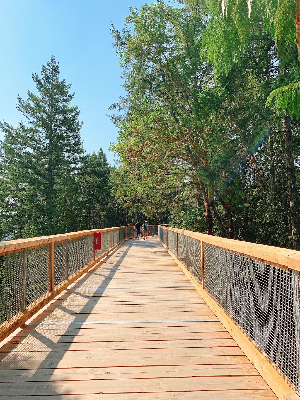 Malahat SkyWalk | 901 Trans-Canada Hwy, Malahat, BC V0R 2L0, Canada | Phone: (833) 625-2428