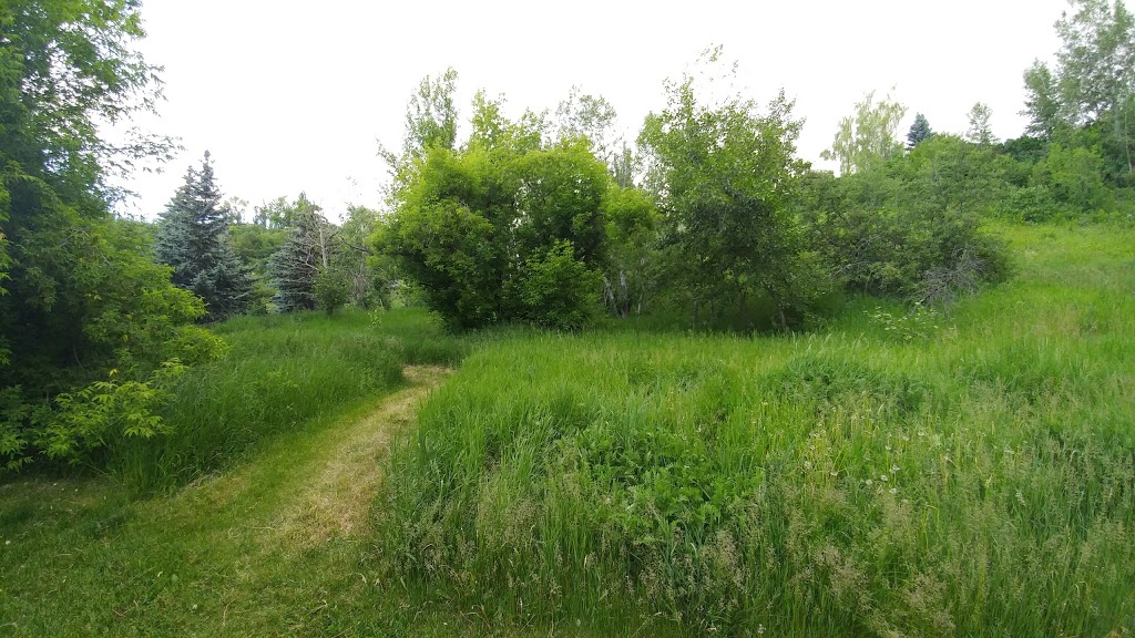 Elbow Park Off-leash Area | 3617 8 St SW, Calgary, AB T2T 3A8, Canada