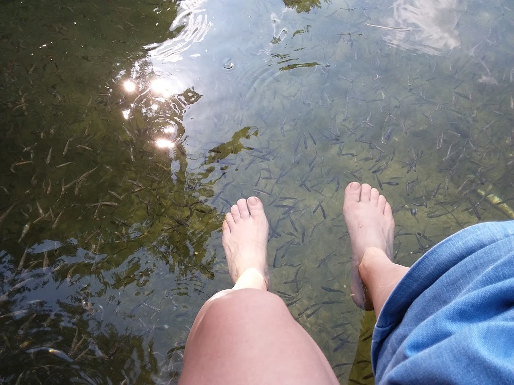 Palmerston Lake Campground | 1000 Park Hill Ln, Ompah, ON K0H 2J0, Canada | Phone: (416) 319-8845