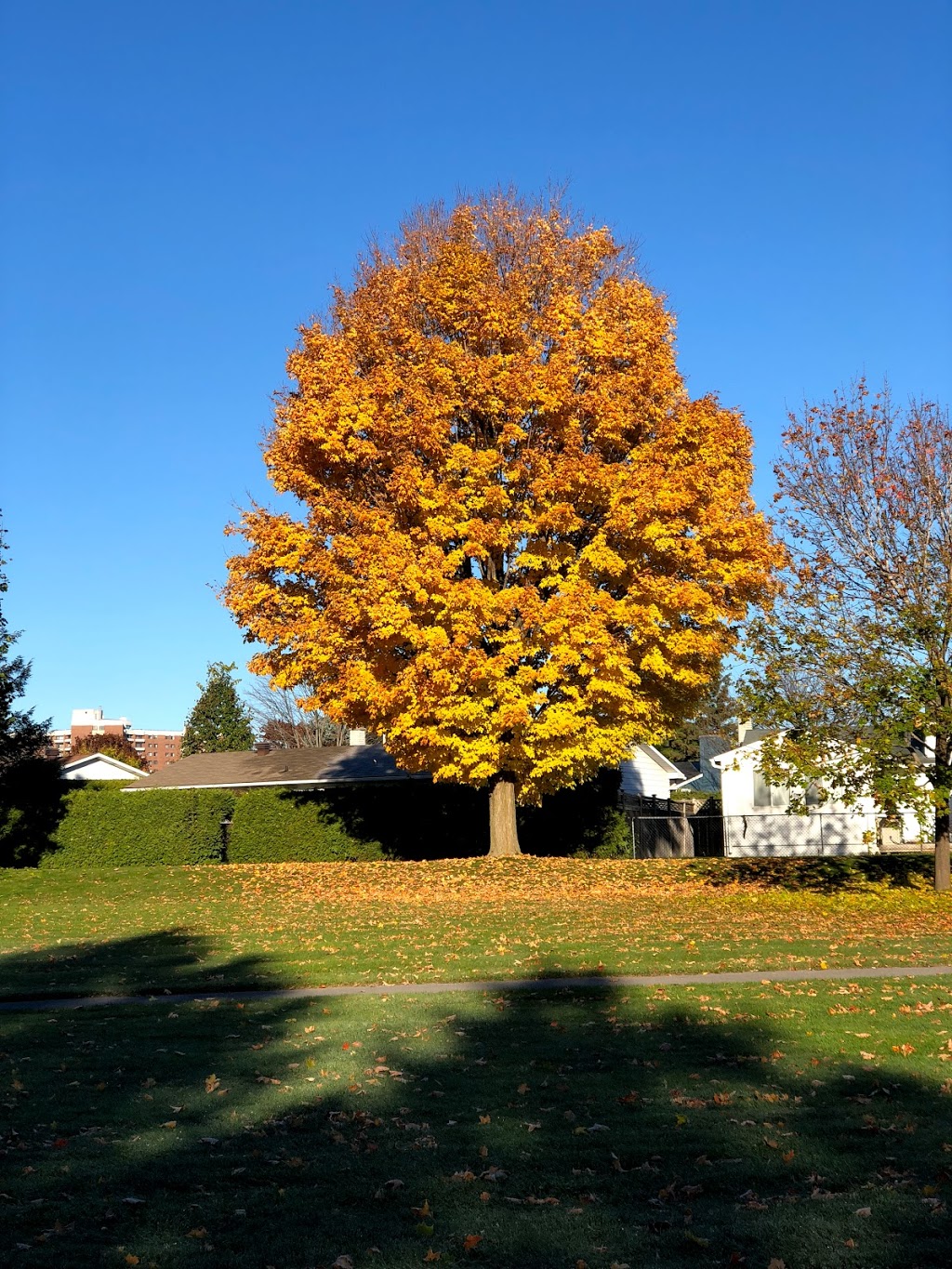 Red Pine Park | 11 Redpine Dr, Nepean, ON K2E 6T3, Canada | Phone: (613) 580-2595