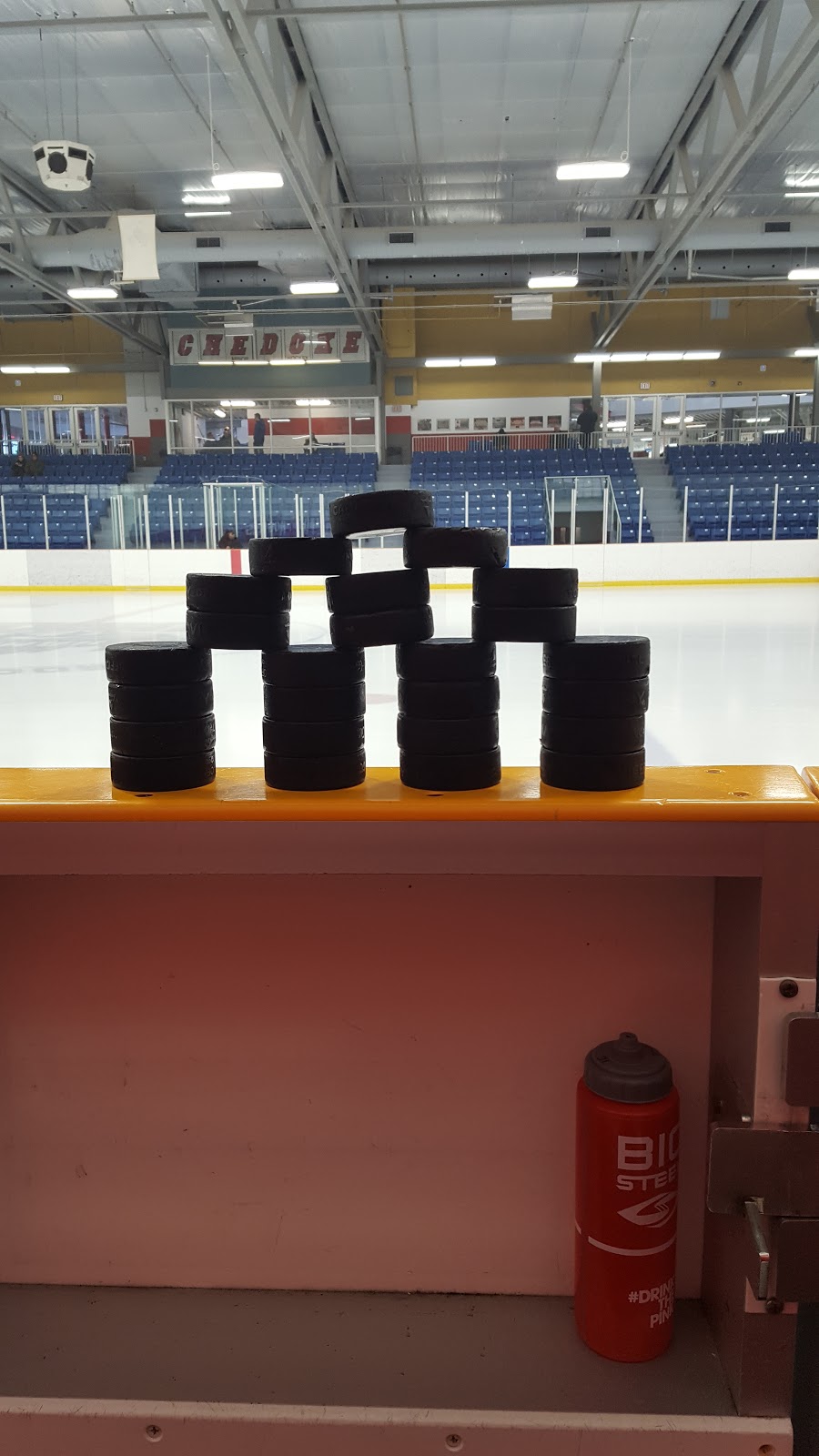 Chedoke Twin Pad Arena | 91 Chedmac Dr, Hamilton, ON L9C 7R5, Canada | Phone: (905) 546-3747