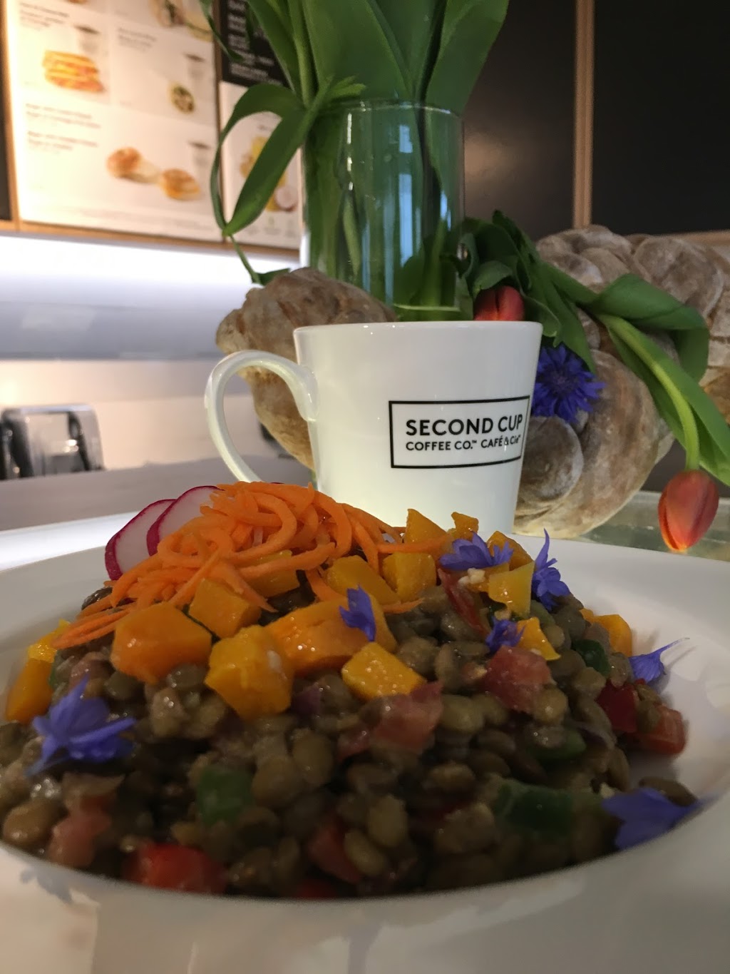 Second Cup Coffee Co. | cafe | 380 Sussex Dr, Ottawa, ON K1N 9N4, Canada | 6139901985 OR +1 613-990-1985