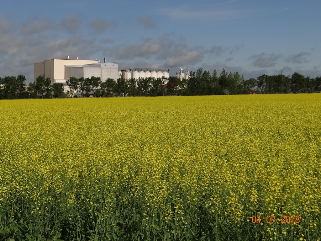 Prairie Flour Mills Ltd. | 11 Janzen Rd, Elie, MB R0H 0H0, Canada | Phone: (204) 353-2895