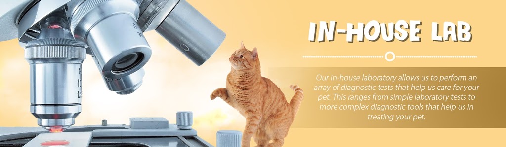 Glenn Mountain Animal Hospital | 2596 McMillan Rd #105, Abbotsford, BC V3G 1C4, Canada | Phone: (604) 852-3030