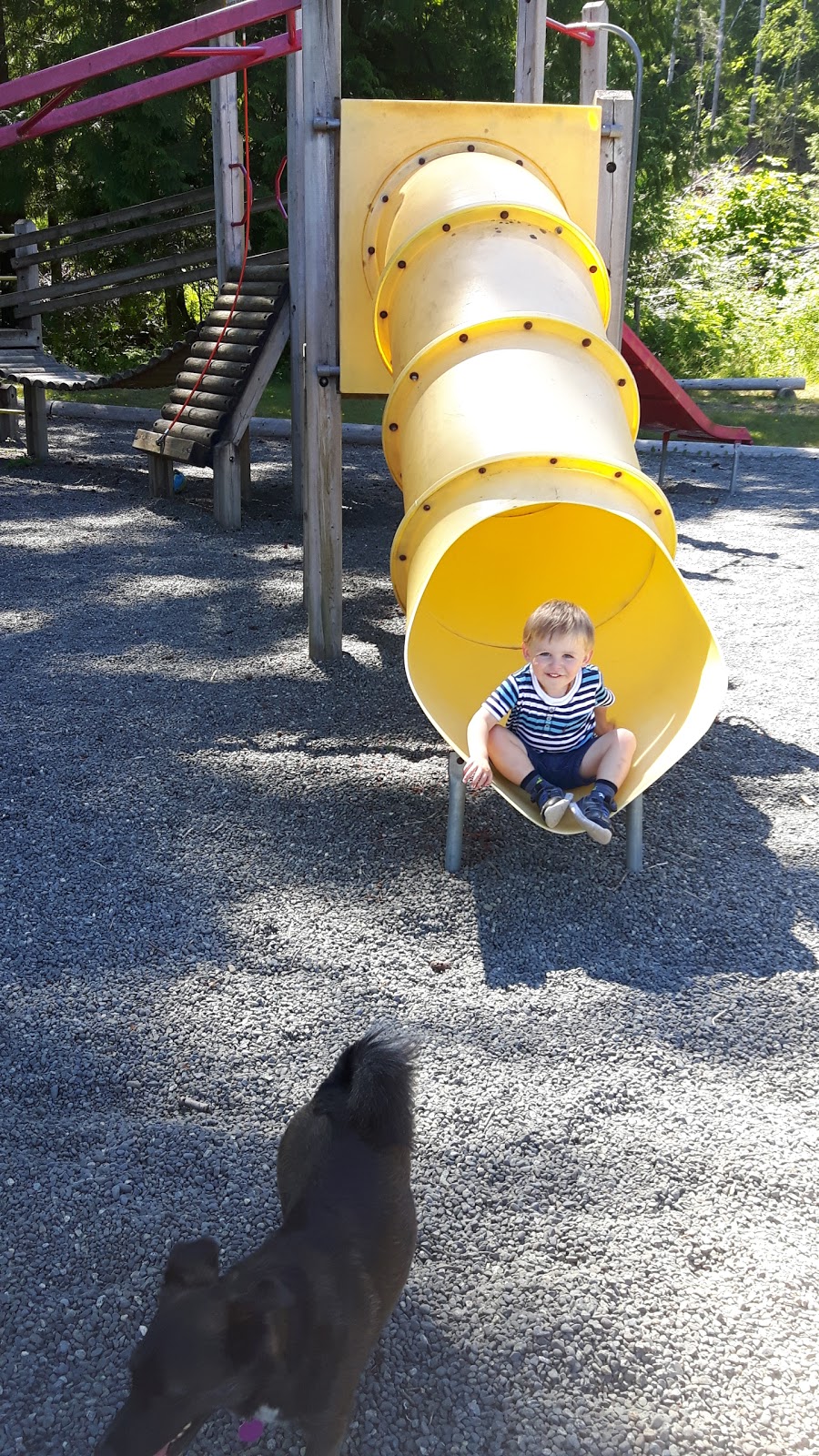Fanny Bay Community Association | 7793 Island Hwy S, Fanny Bay, BC V0R 1W0, Canada | Phone: (250) 335-2832