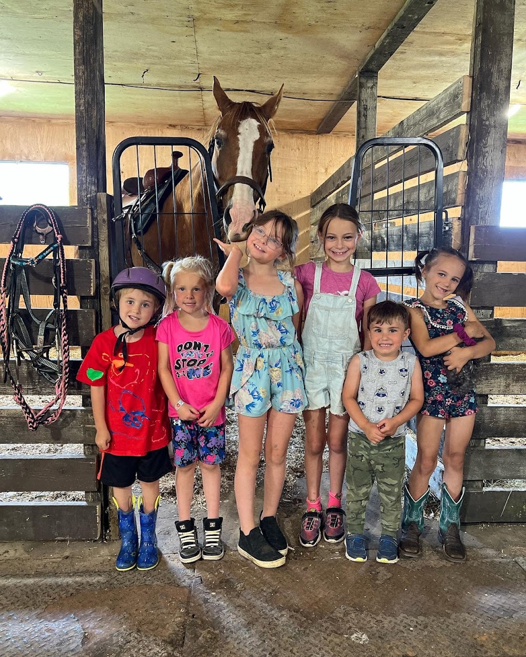 Peaceful Place Equestrian & Wellness Facility Inc. | 687399 Oxford 2, Princeton, ON N0J 1V0, Canada | Phone: (226) 388-4225