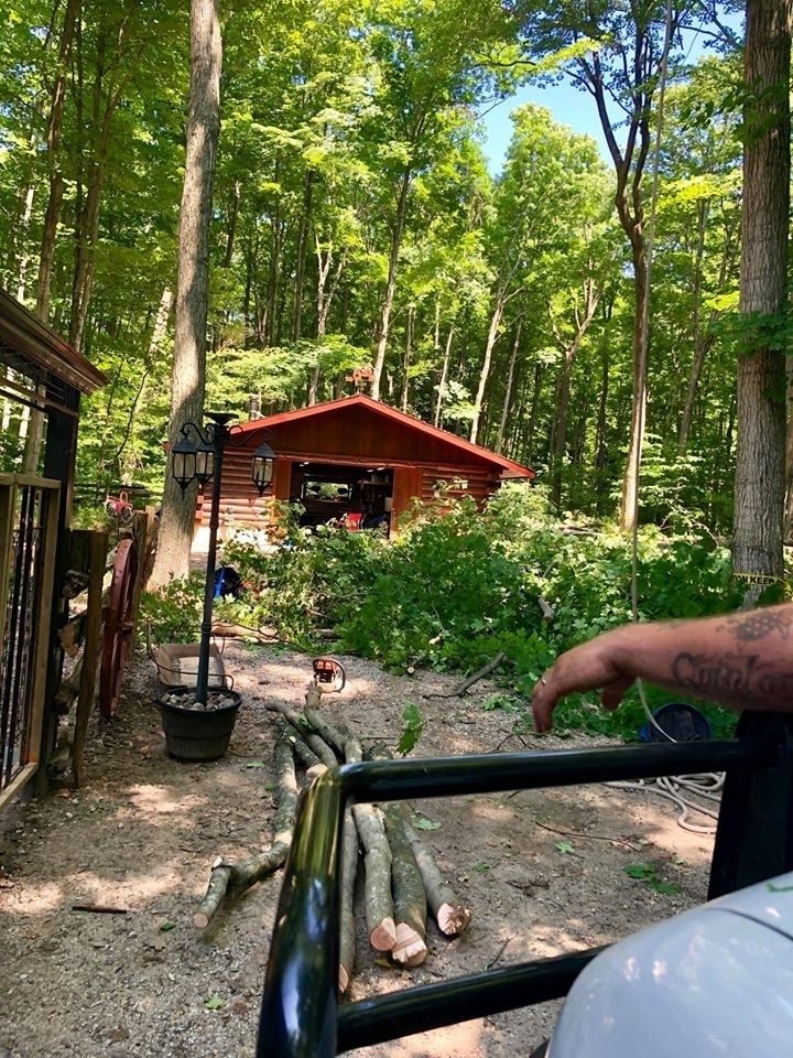 Nine Mile Tree Service | 84679 Kingsbridge Line RR3, Goderich, ON N7A 3X9, Canada | Phone: (519) 955-6869