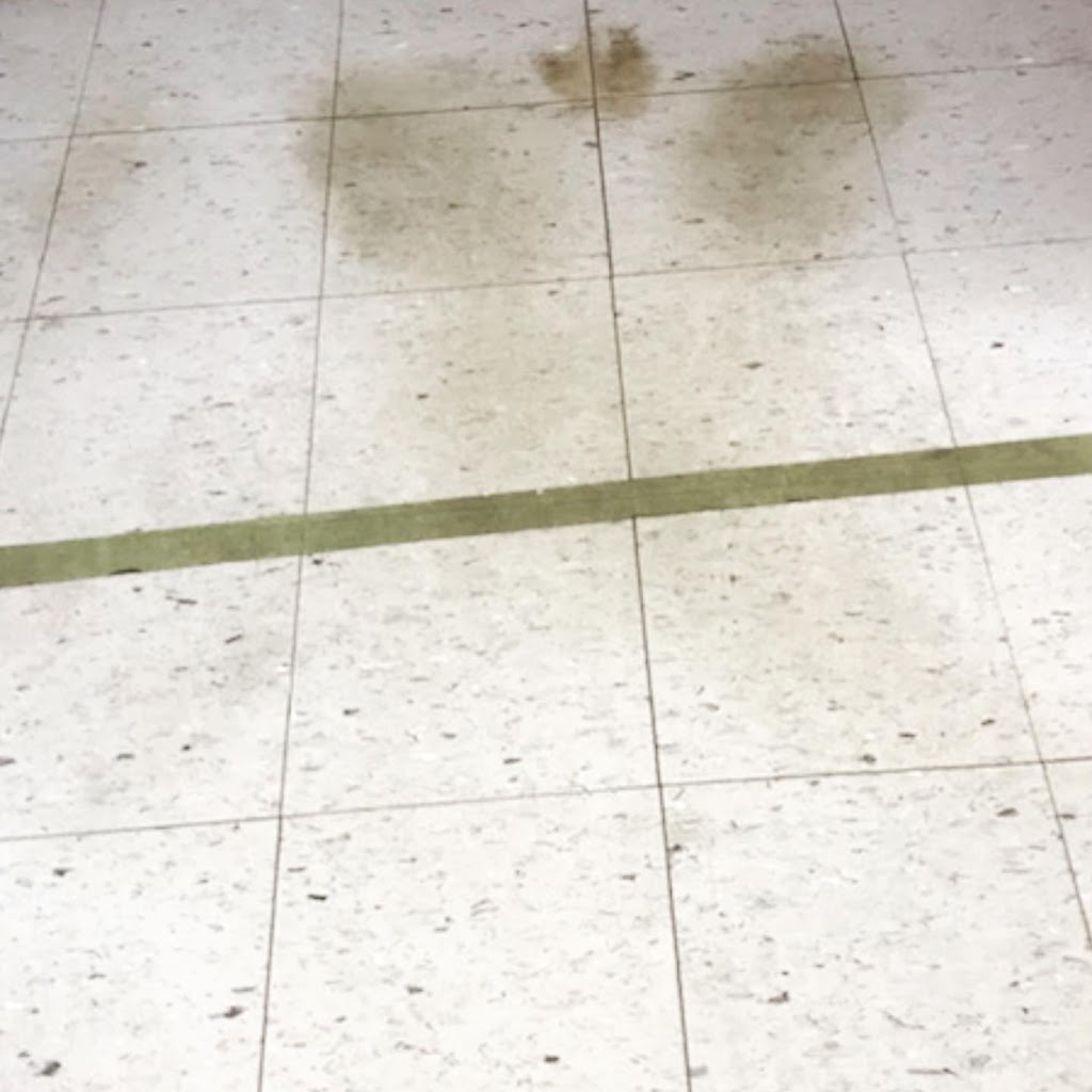 MQN Janitorial Cleaning | 1474 Evans Blvd, London, ON N6M 0A8, Canada | Phone: (226) 224-9403
