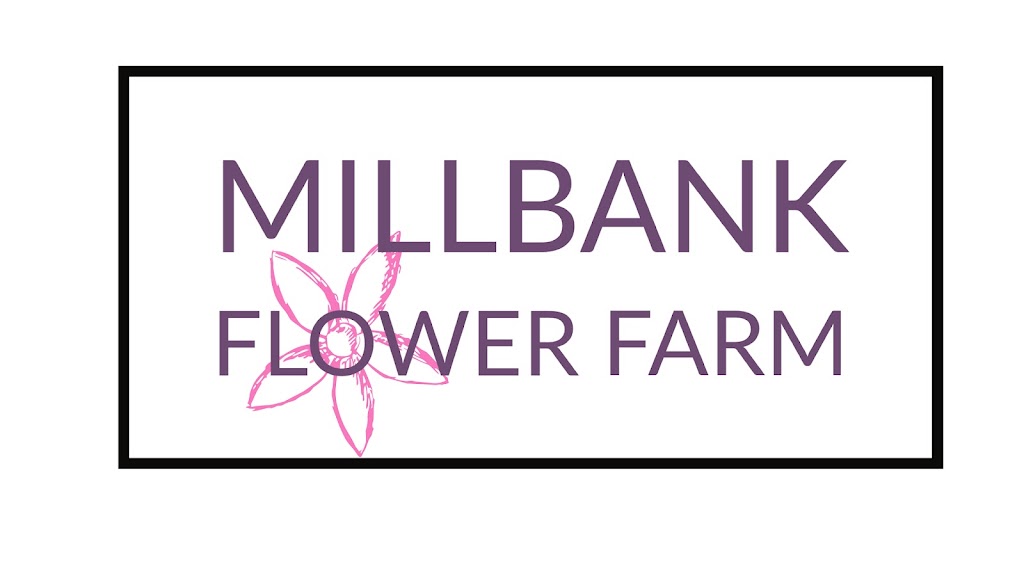 Millbank Flower Farm | 6971 Millbank Main St, Millbank, ON N0K 1L0, Canada | Phone: (519) 573-6992