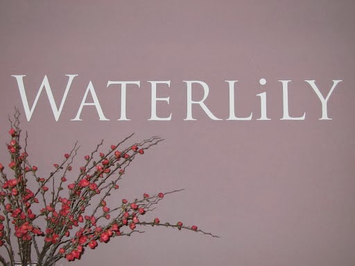 Waterlily Shoes | 2537 Beacon Ave #101, Sidney, BC V8L 1Y2, Canada | Phone: (250) 656-5606