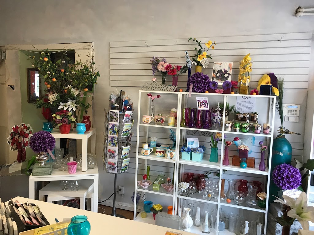 Silver Heights Florist | 211 Mt Royal Rd, Winnipeg, MB R3J 2N1, Canada | Phone: (204) 832-7398
