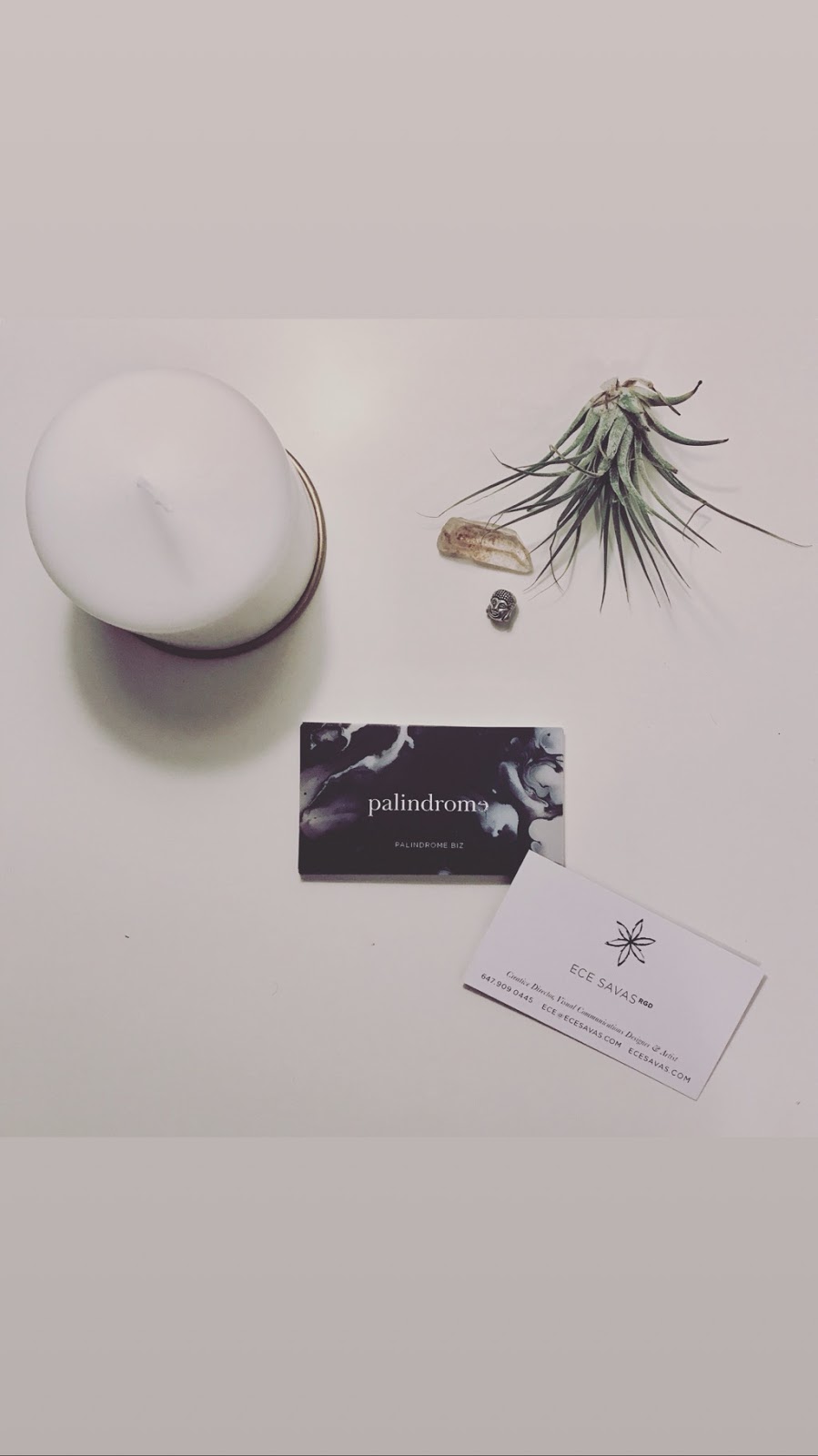 Palindrome Branding & Design Studio | 807 Duplex Ave, Toronto, ON M4R 1M5, Canada | Phone: (647) 909-0445