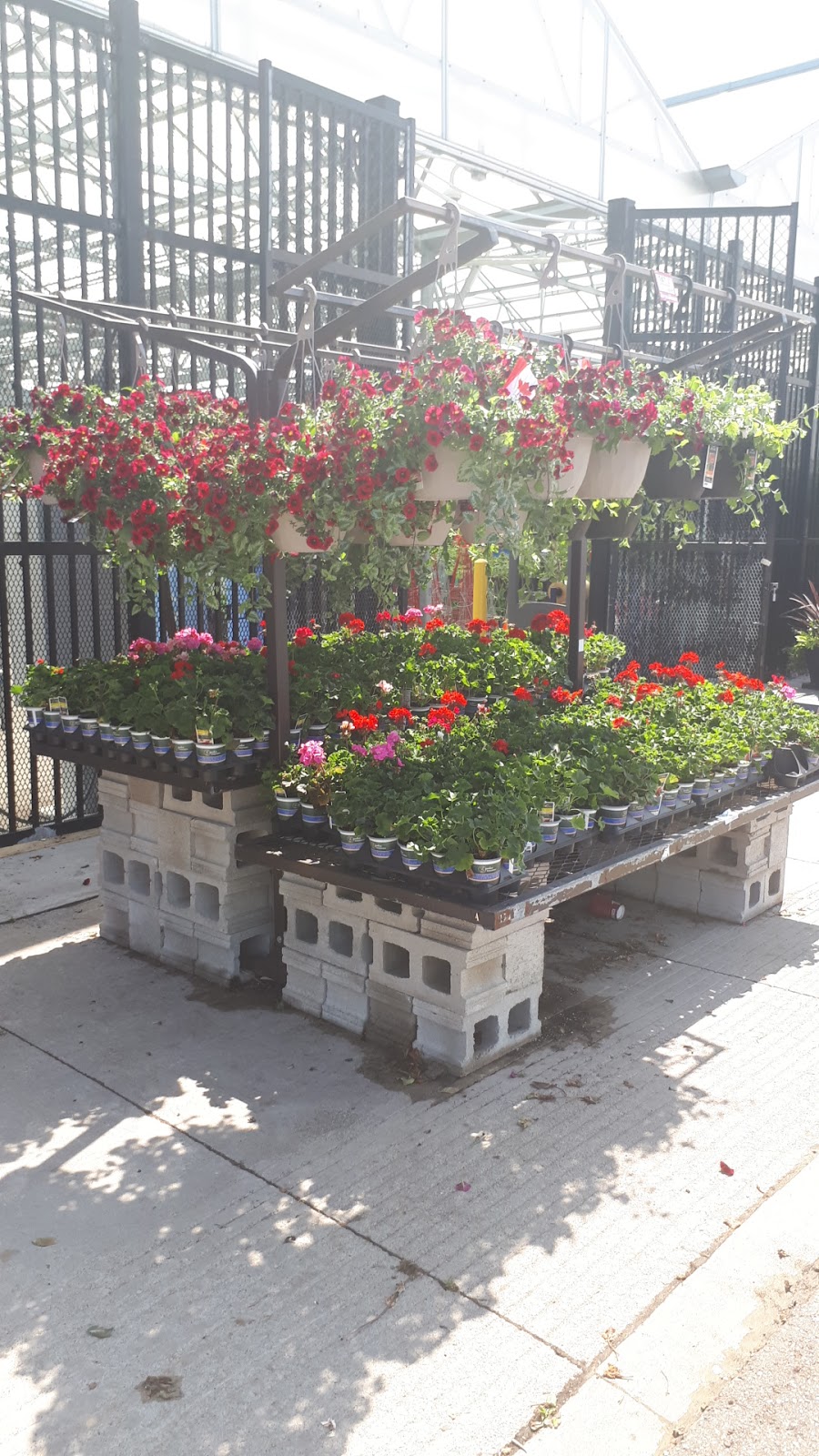 Lowes Garden Centre | 10111 Heart Lake Rd, Brampton, ON L6Z 0E4, Canada | Phone: (905) 843-4300