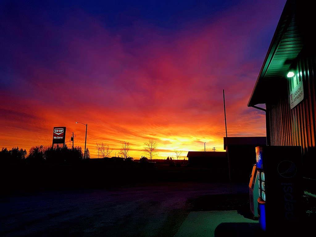 Co-op Cardlock | 150 Railway St, Starbuck, MB R0G 2P0, Canada | Phone: (204) 735-2382