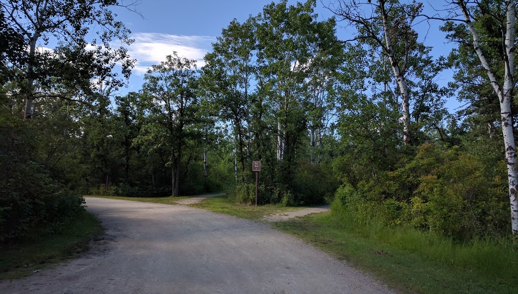 St. Malo Provincial Park | De La Grotte Ave, Saint Malo, MB R0A 1T0, Canada | Phone: (204) 347-5283