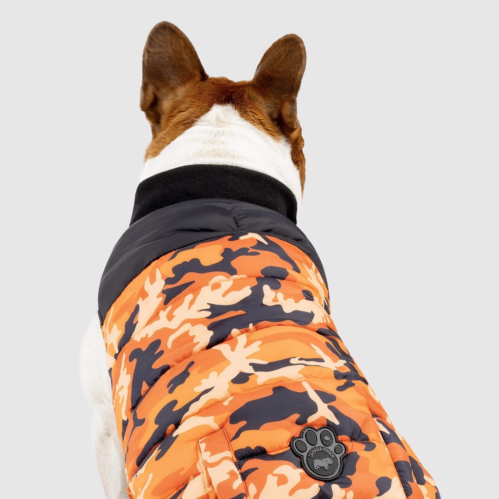 Natural Pet Foods | 61 Bridge St, Carleton Place, ON K7C 2V2, Canada | Phone: (613) 253-7387