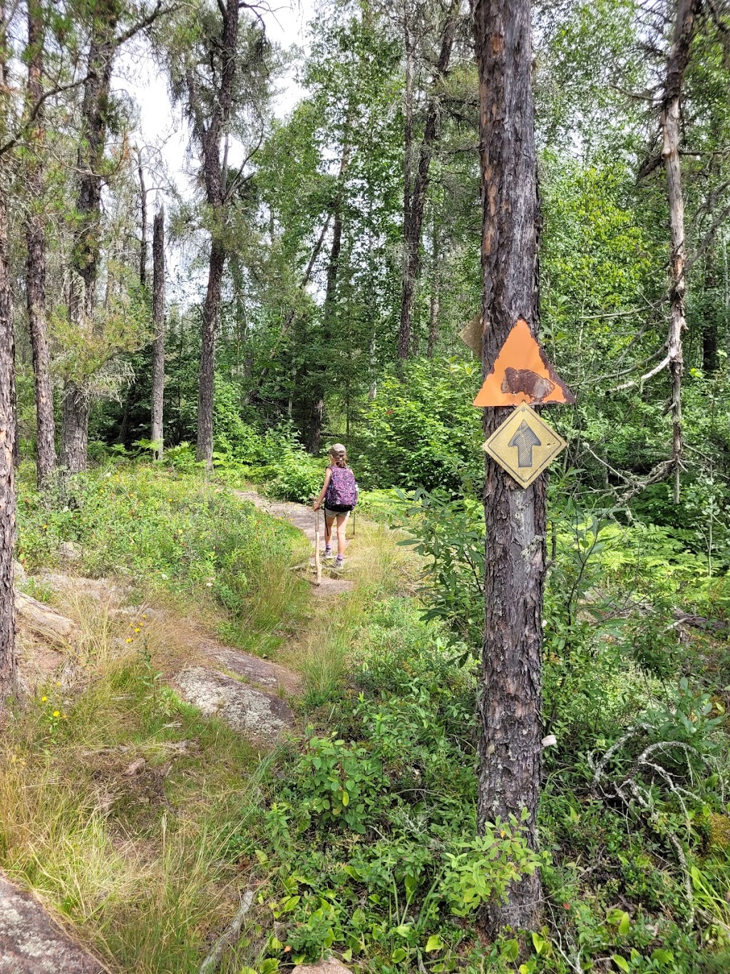 Cabin Lake Hiking Trail | Unnamed Rd, Manitoba R0E 1R0, Canada | Phone: (204) 369-3157