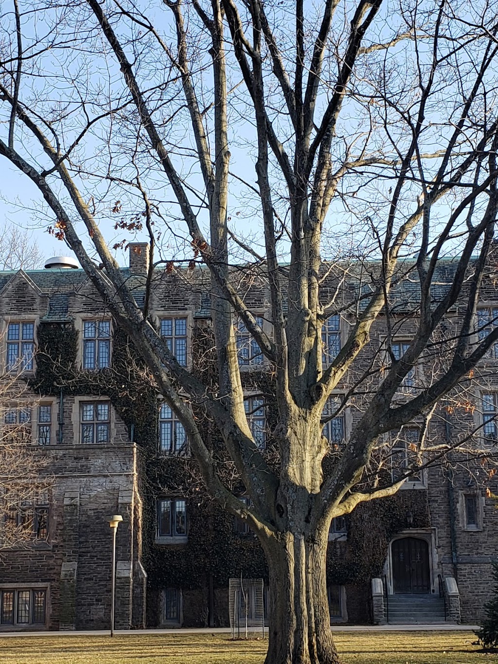 The University Club of McMaster | Alumni Memorial Hall, 1280 Main St W, Hamilton, ON L8S 4K1, Canada | Phone: (905) 525-9140 ext. 23246