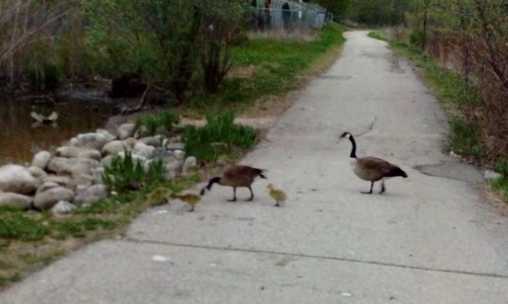 Detweiler Greenway | Highland West, Kitchener, ON N2N, Canada