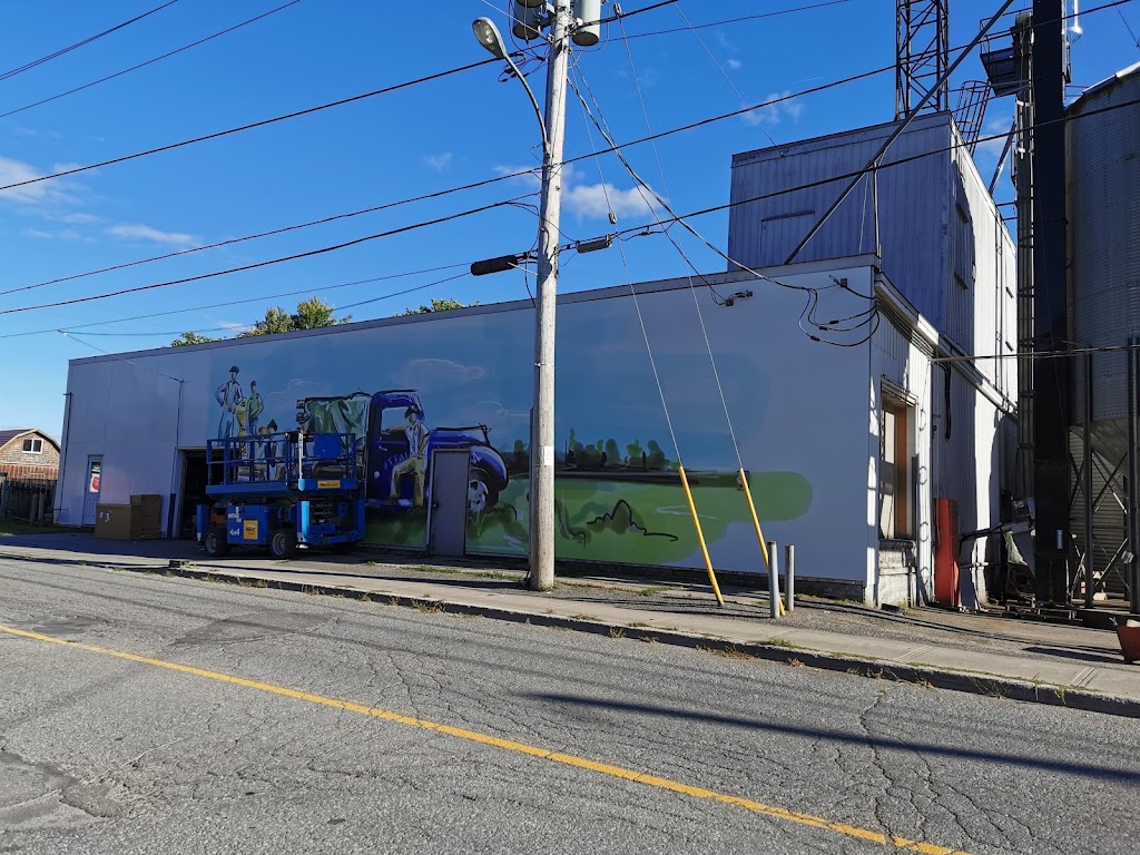 Ottawa Valley Grain Products Inc. | 405 Donald B. Munro Dr, Carp, ON K0A 1L0, Canada | Phone: (613) 839-2802