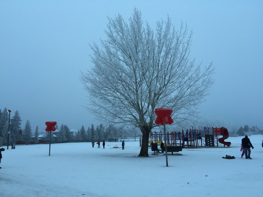 École Lakeview School | 527 Kingsmere Blvd, Saskatoon, SK S7J 3V4, Canada | Phone: (306) 683-7330