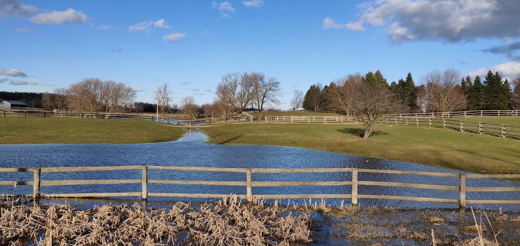 Fox Den Farms | 13601 Leslie St, Richmond Hill, ON L4E 1A2, Canada | Phone: (905) 888-1115