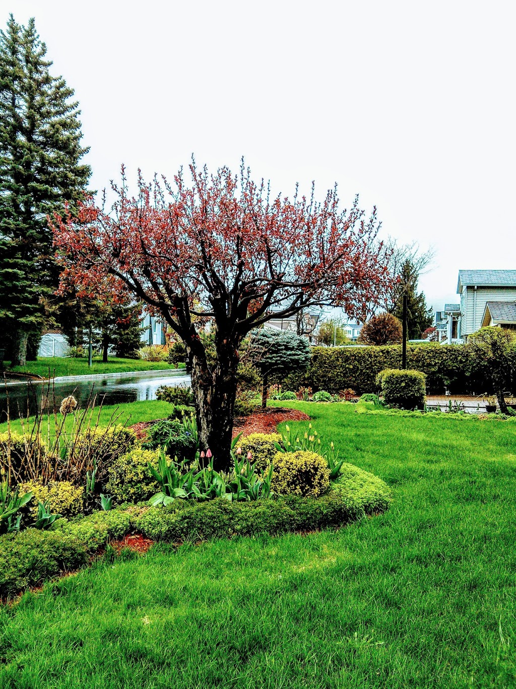 Parc Boisjoli | 5250 Terrasse Boisjoli, Saint-Hubert, QC J3Y 5Z1, Canada