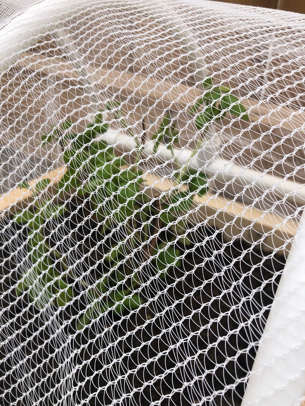 GRDNetting Solutions | 301 Hillcrest Rd SW, Airdrie, AB T4B 4K1, Canada | Phone: (825) 438-4736