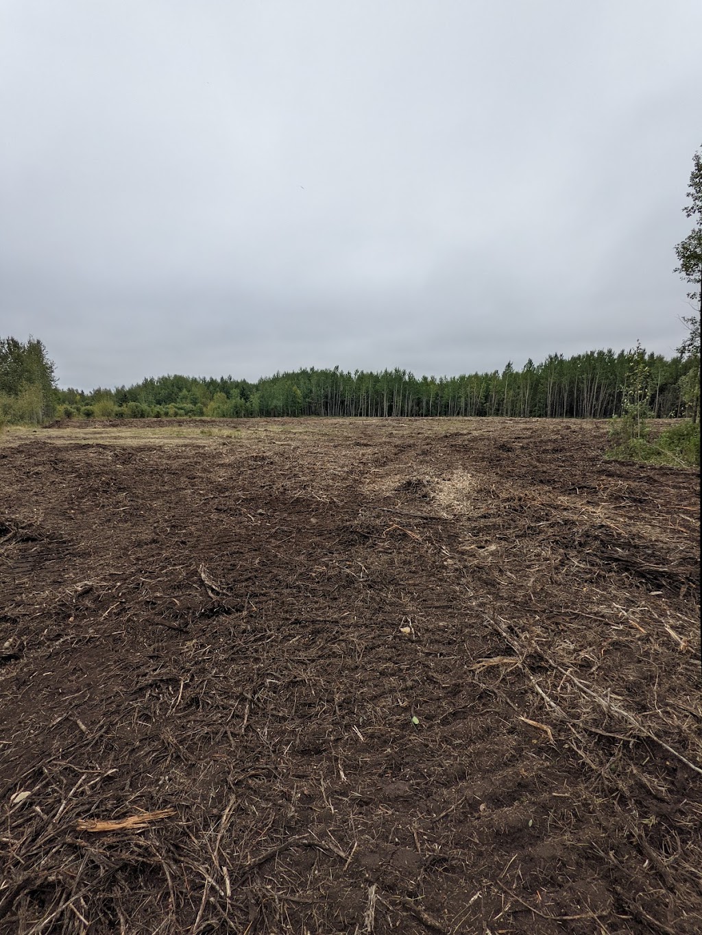 Timberline Mulching | 10212 107 St, Westlock, AB T7P 1X4, Canada | Phone: (780) 307-8641