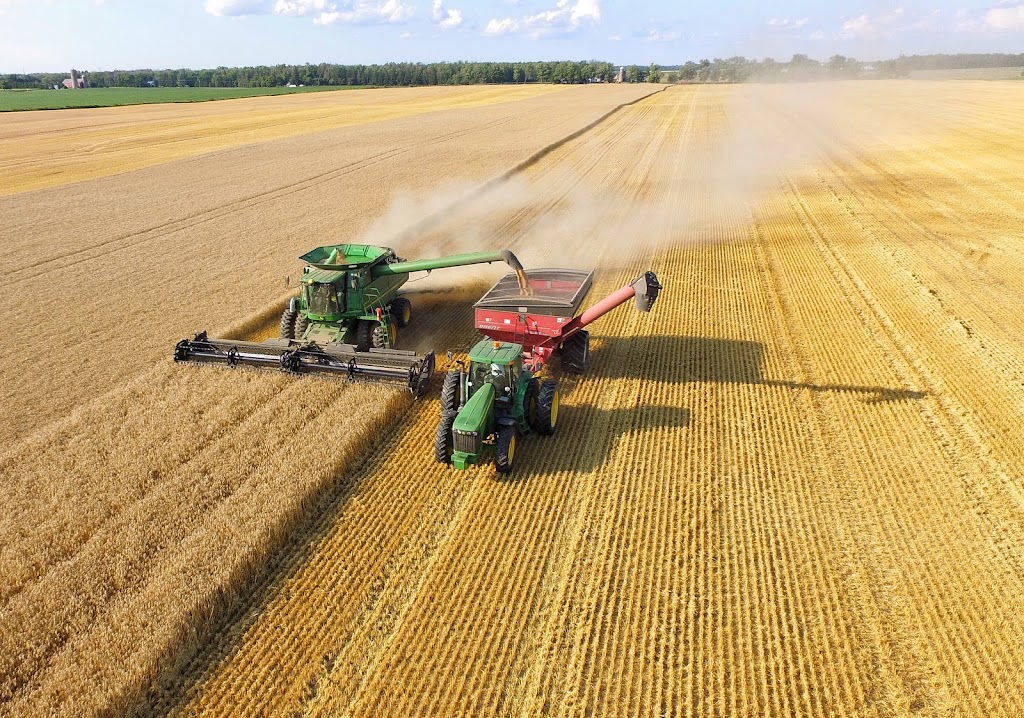 519 Aerial Imagery | 5348 Perth Line 29 RR#2, Mitchell, ON N0K 1N0, Canada | Phone: (519) 301-5738